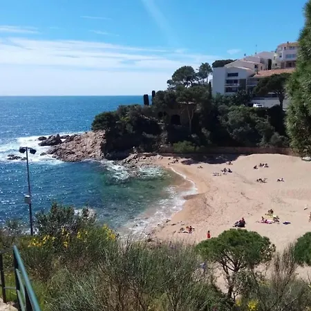 Daire Cala Salions, Chalana I Girona