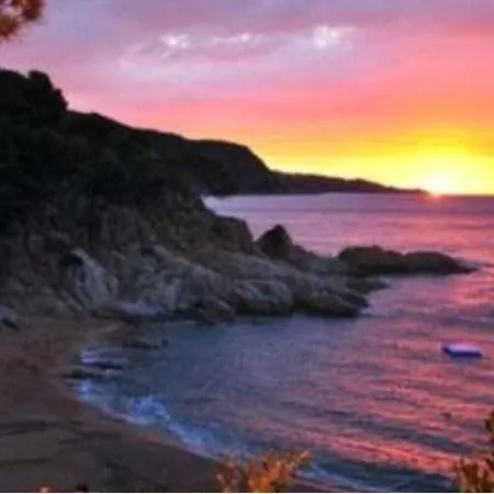 Daire Cala Salions, Chalana I