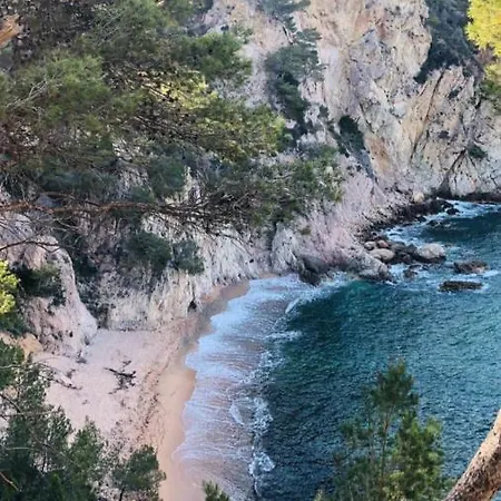 Cala Salions, Chalana I *