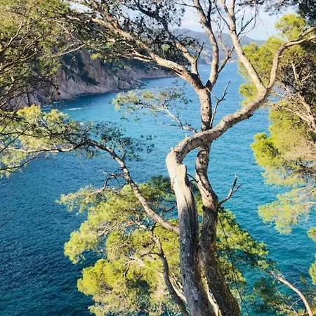 Cala Salions, Chalana I Daire