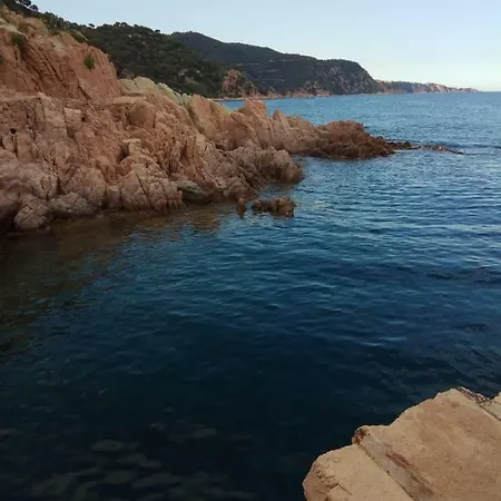 Daire Cala Salions, Chalana I Girona