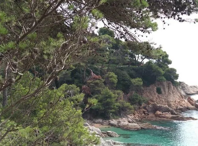 Апартаменты Chalana I, Cala Salions, Tossa De Mar Жирона