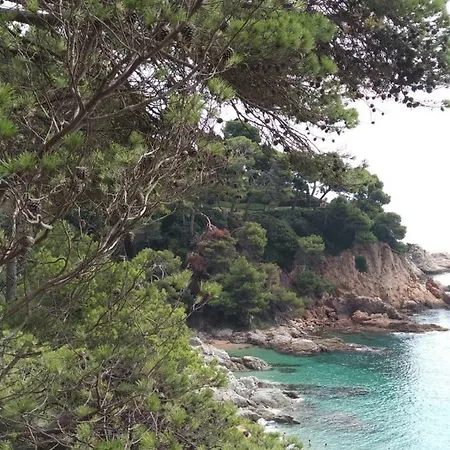 아파트 Chalana I, Cala Salions, Tossa De Mar 지로나
