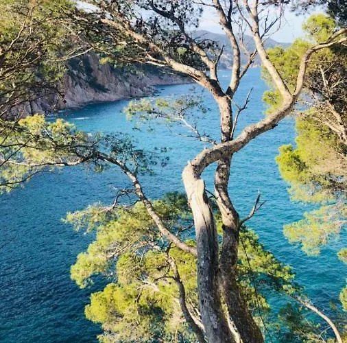 Chalana I, Cala Salions, Tossa De Mar 公寓